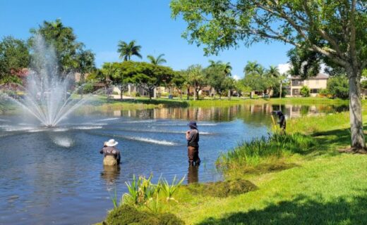 pond water treatment